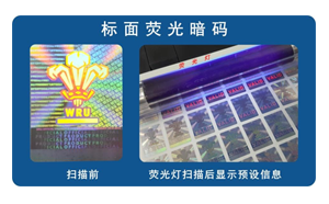 化學草莓视频免费在线观看