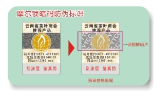 激光草莓视频免费在线观看標簽